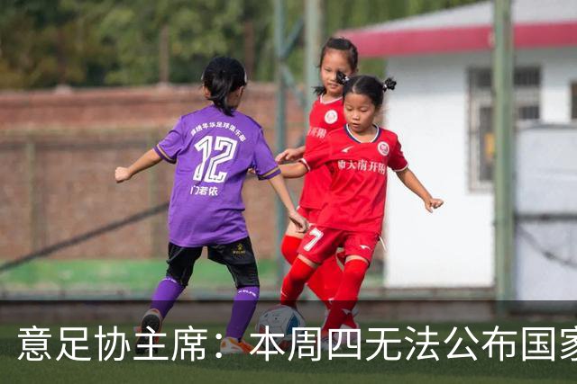 意足协主席：本周四无法公布国家队新主帅，我和曼奇尼关系很亲近